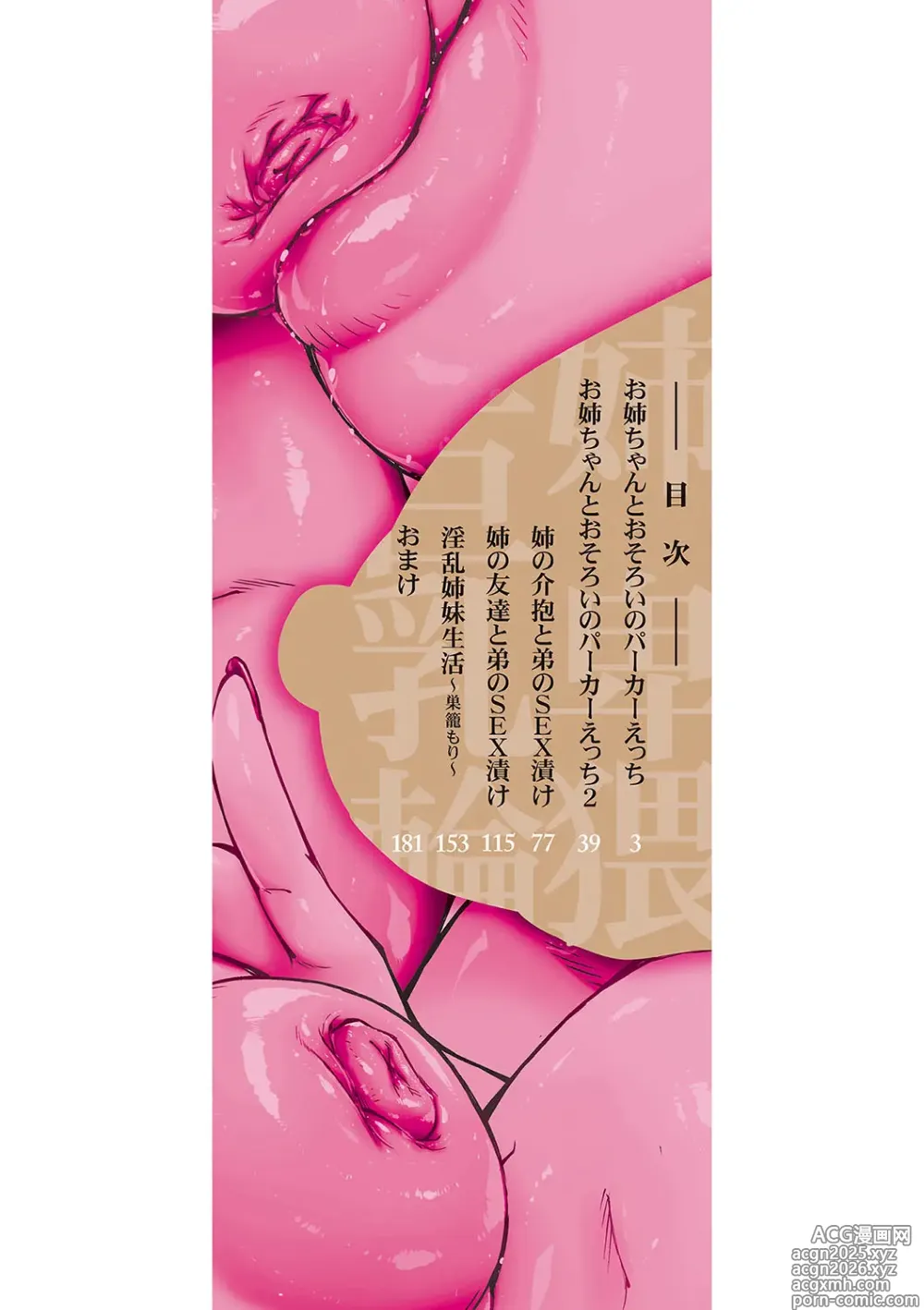 Page 3 of manga Onee-chan no Hiwai na Kyonyuurin