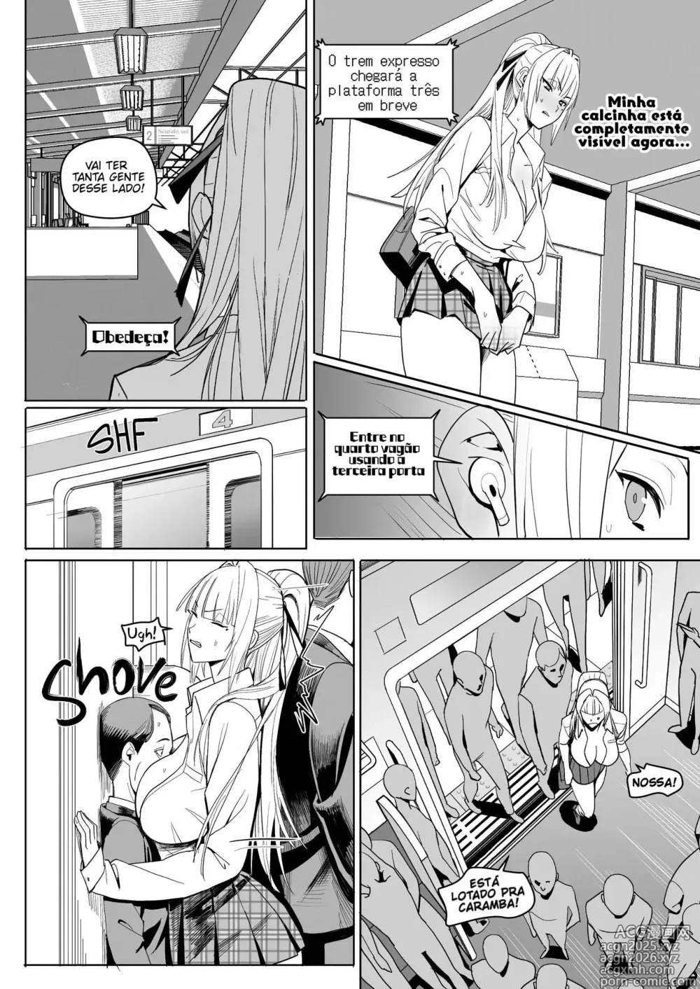 Page 3 of doujinshi Zettai Meirei