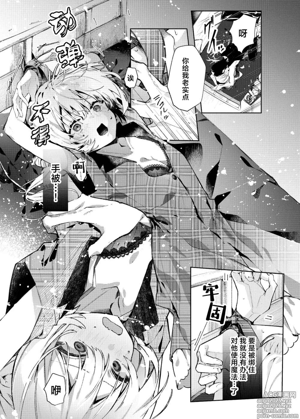 Page 17 of doujinshi 魔女见习生不想 ××× ！