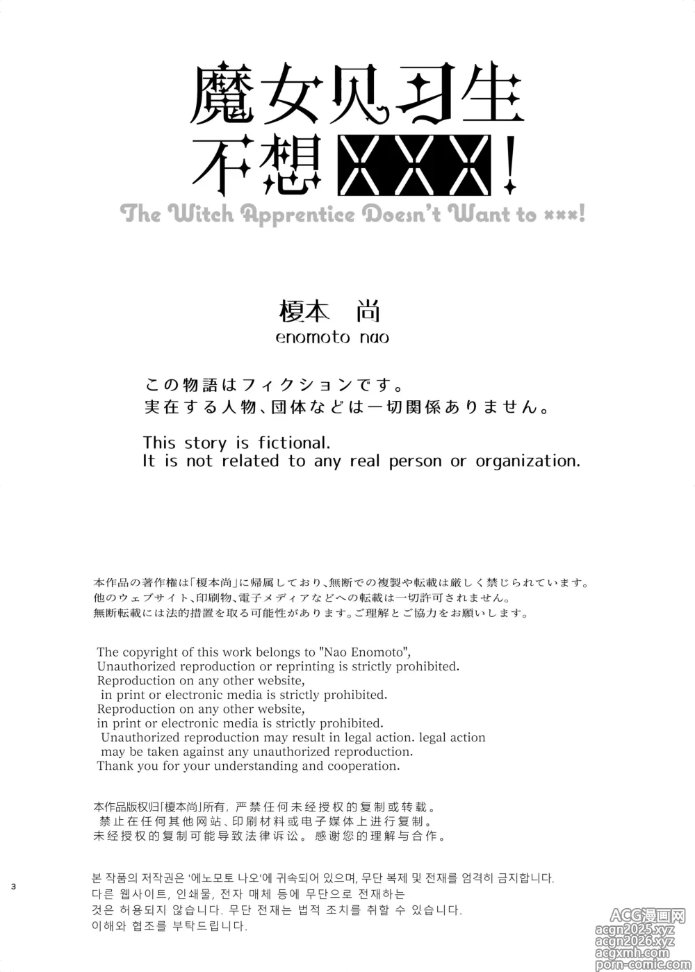 Page 3 of doujinshi 魔女见习生不想 ××× ！