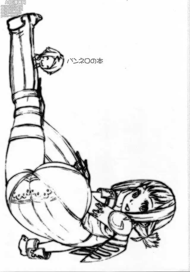 Page 2 of doujinshi Penelo no Hon
