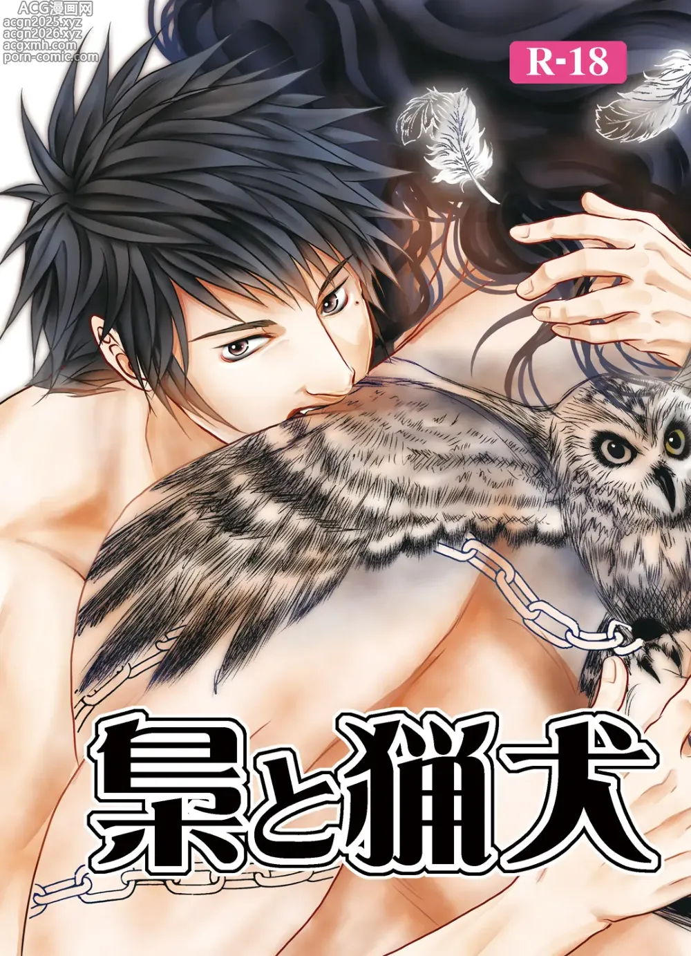 Page 1 of doujinshi Hound and owl.
