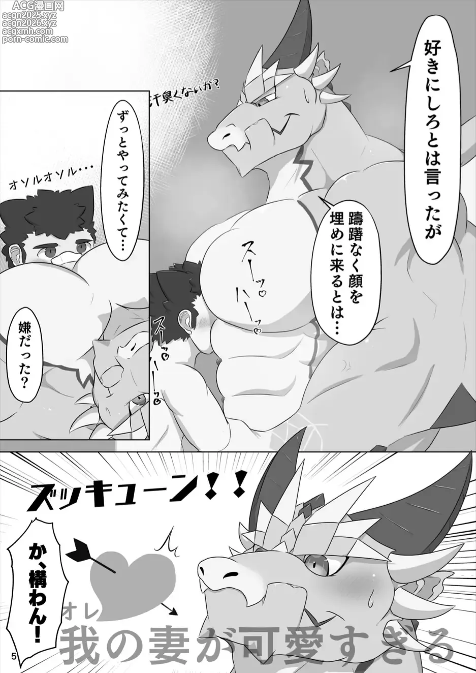 Page 5 of doujinshi 竜の双丘