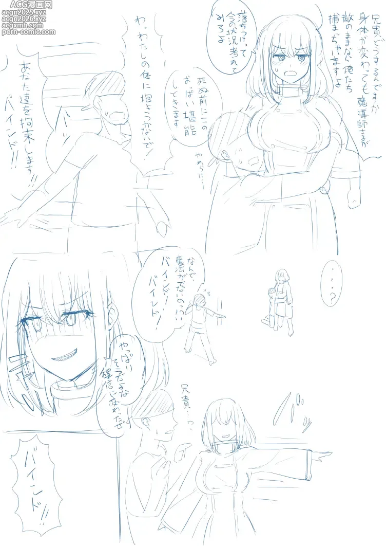 Page 4 of doujinshi tsuniverse魔导师附身