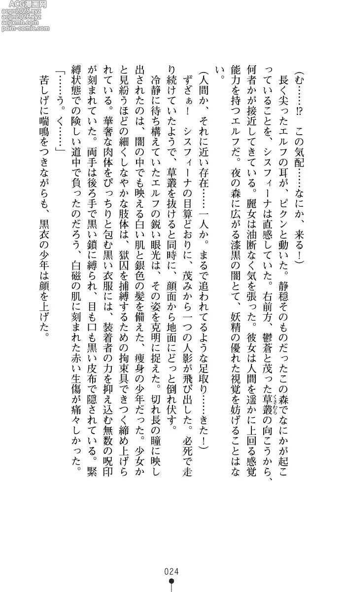 Page 25 of manga Sisfina 1 - Hakugin no Elf
