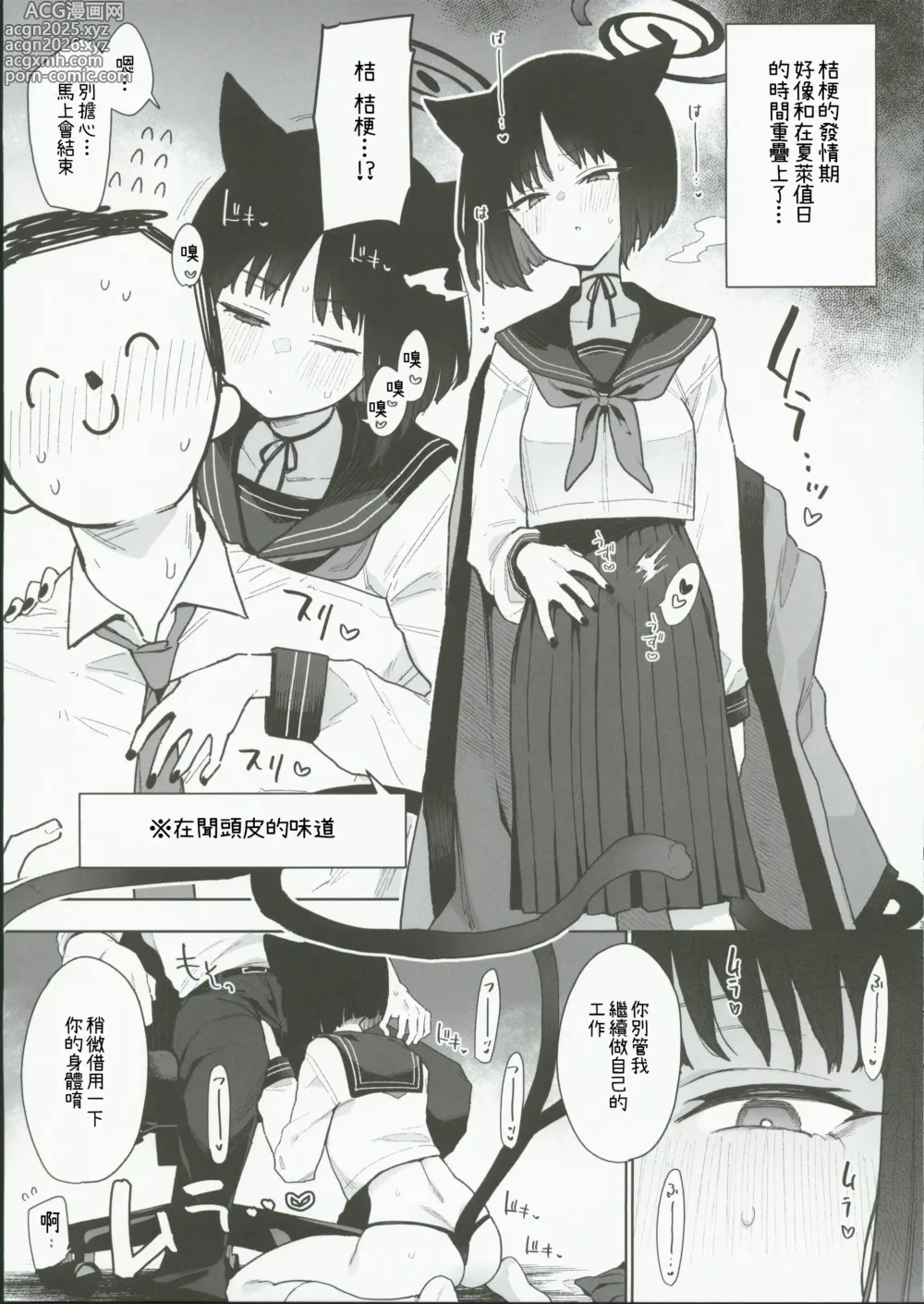 Page 3 of doujinshi Kikyou Kiryuu VS Kusa Chin