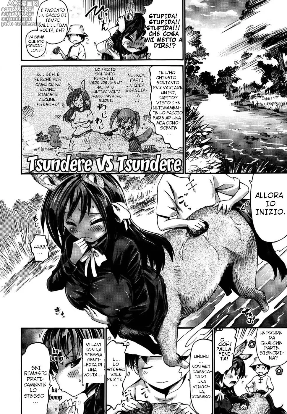 Page 6 of manga Watashi datte Centaur nan Dakara ne!