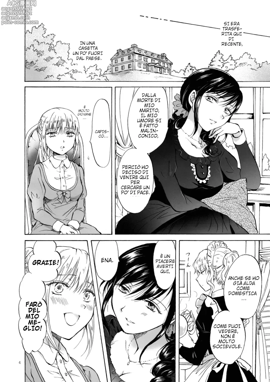Page 3 of doujinshi Oku-sama to Maid-san