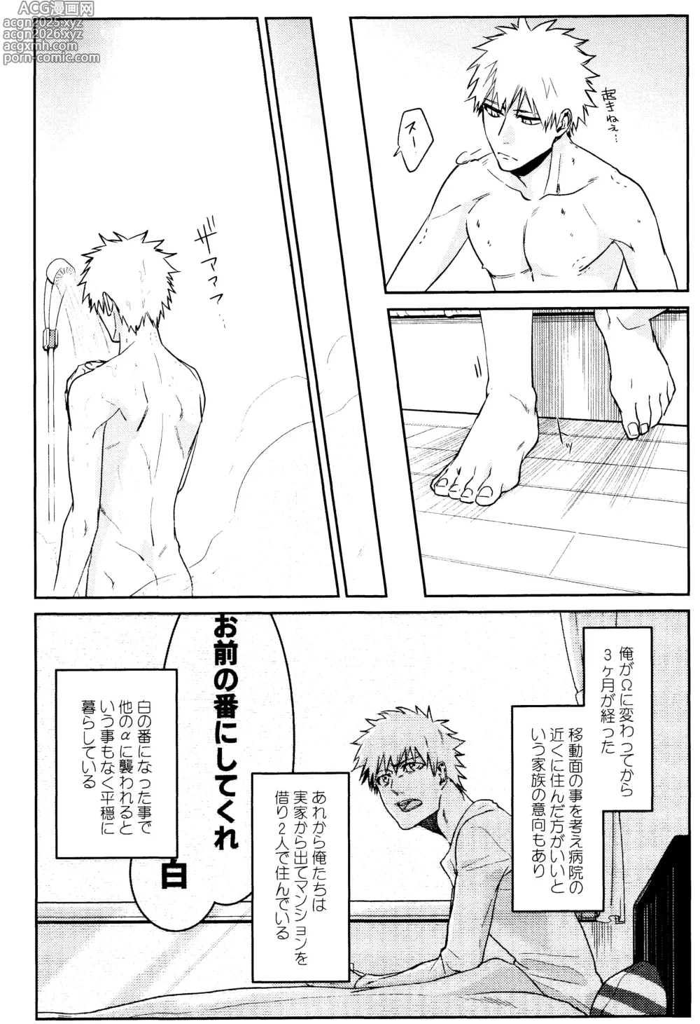 Page 5 of doujinshi Re TorL