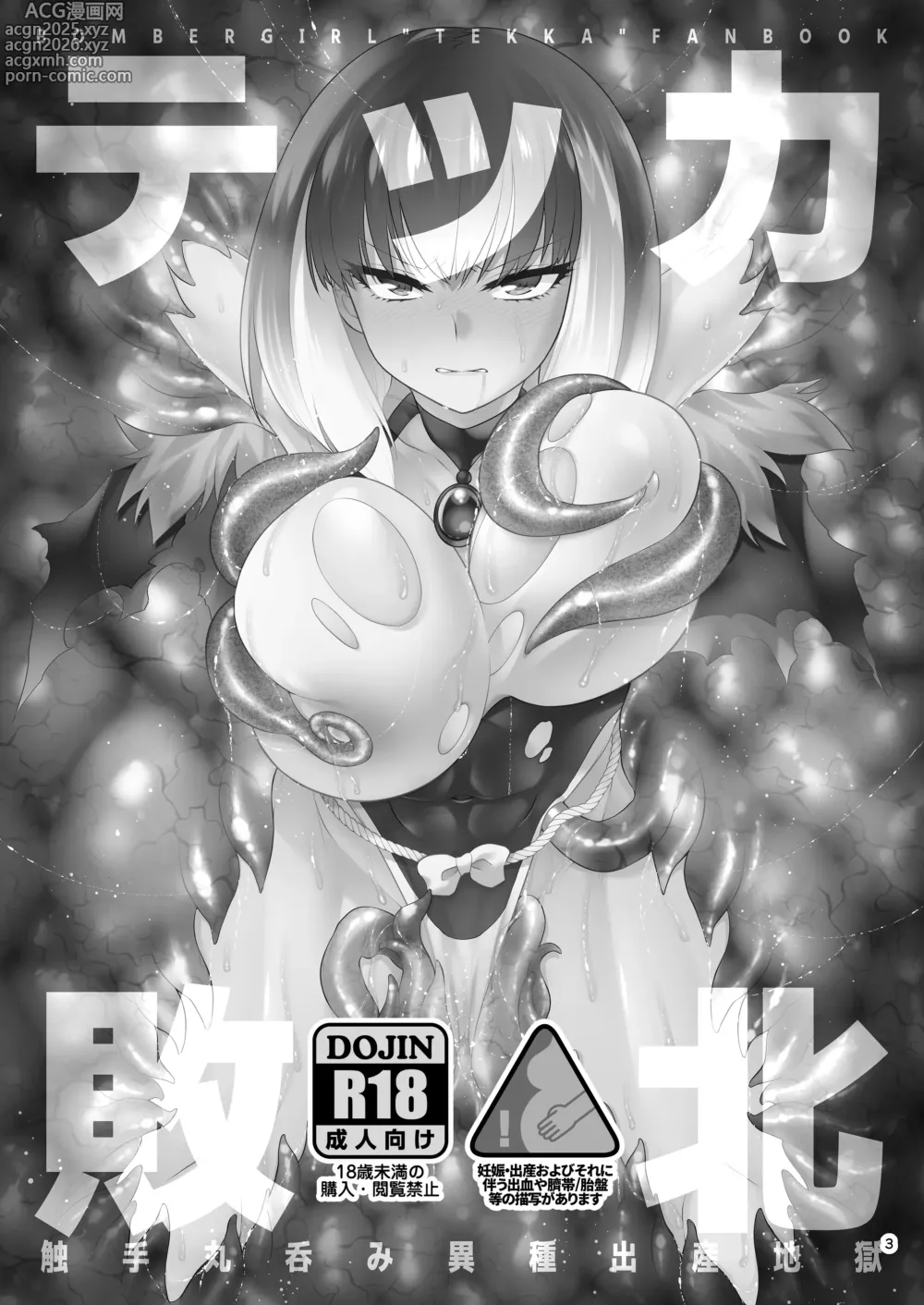Page 2 of doujinshi 텟카 패배