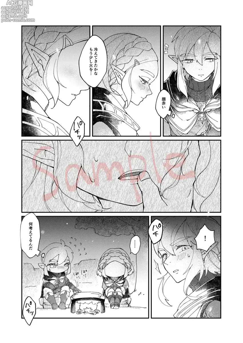 Page 3 of doujinshi EXPECTING[The Legend of Zelda)