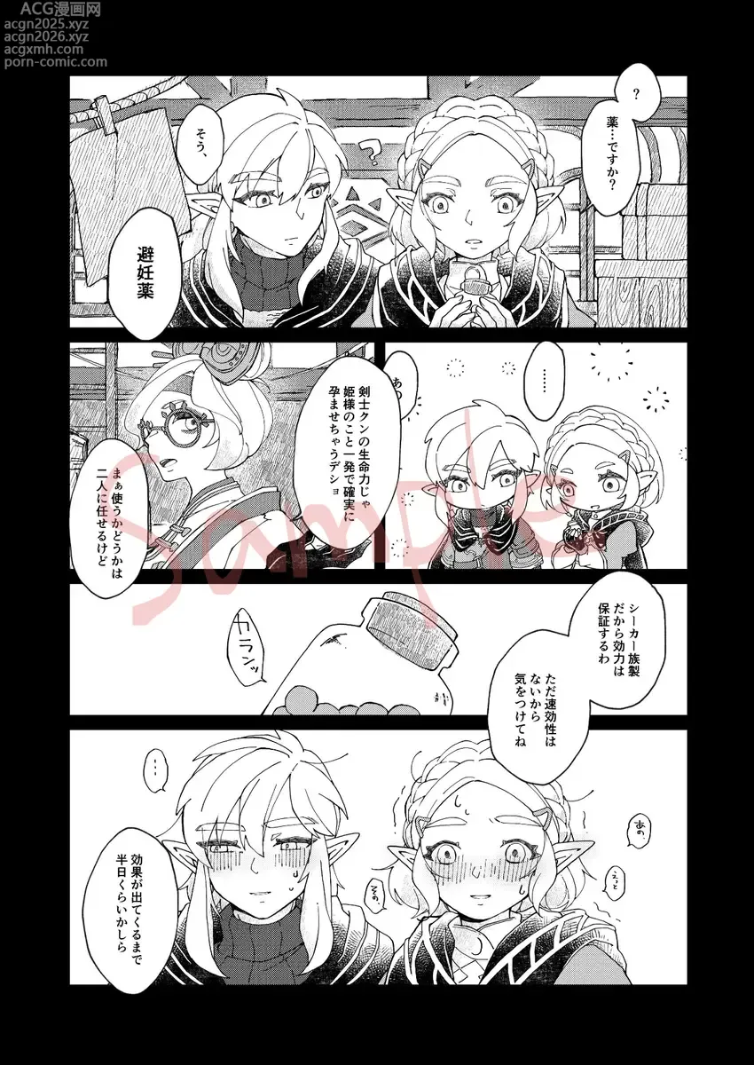 Page 5 of doujinshi EXPECTING[The Legend of Zelda)