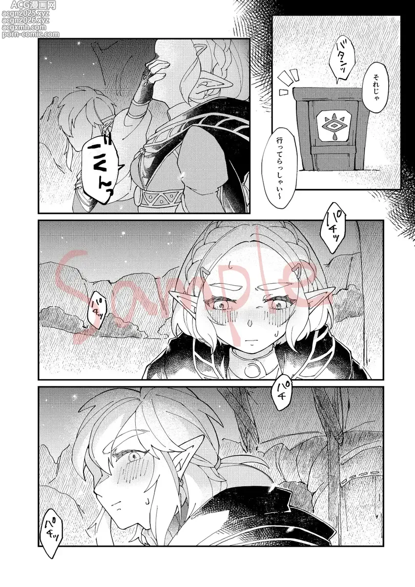 Page 6 of doujinshi EXPECTING[The Legend of Zelda)