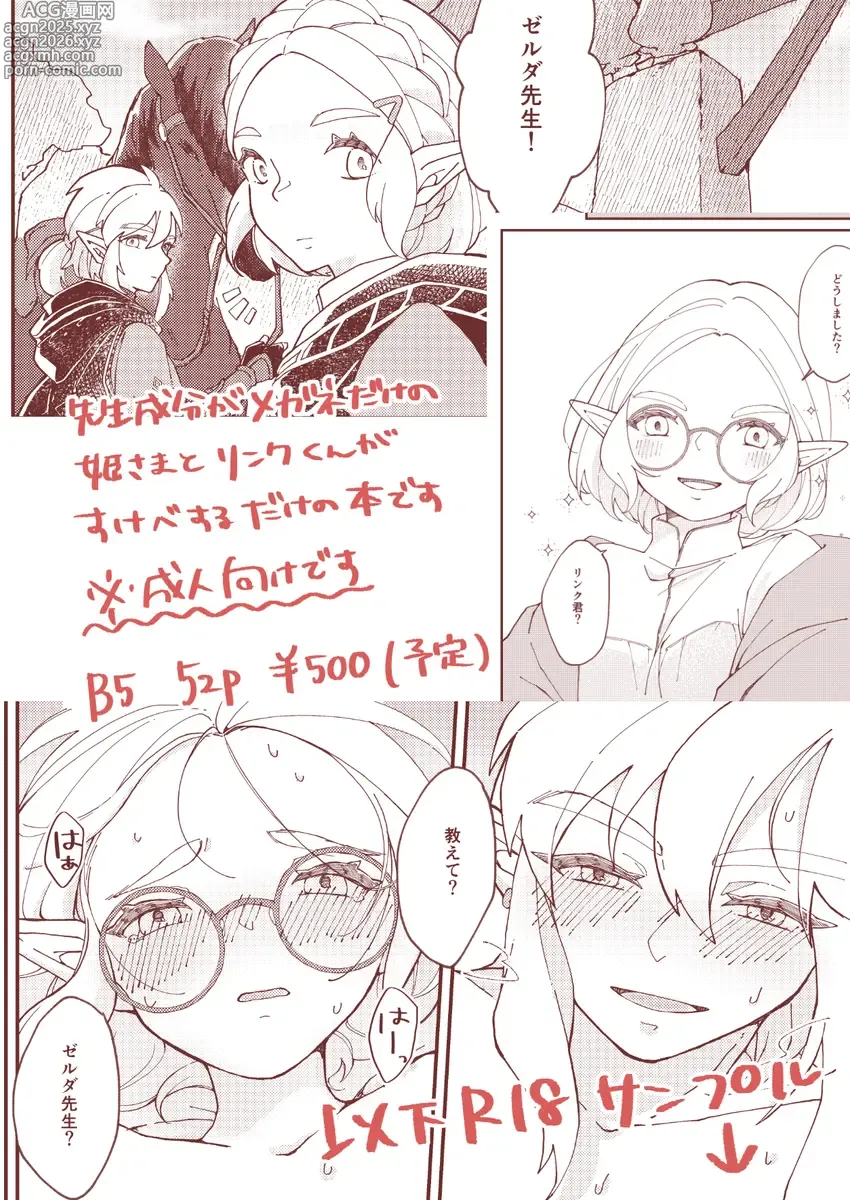 Page 8 of doujinshi EXPECTING[The Legend of Zelda)