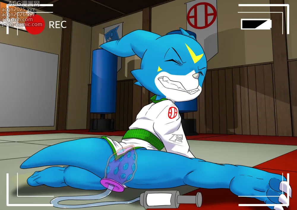 Page 3 of imageset Veemon Split Karate