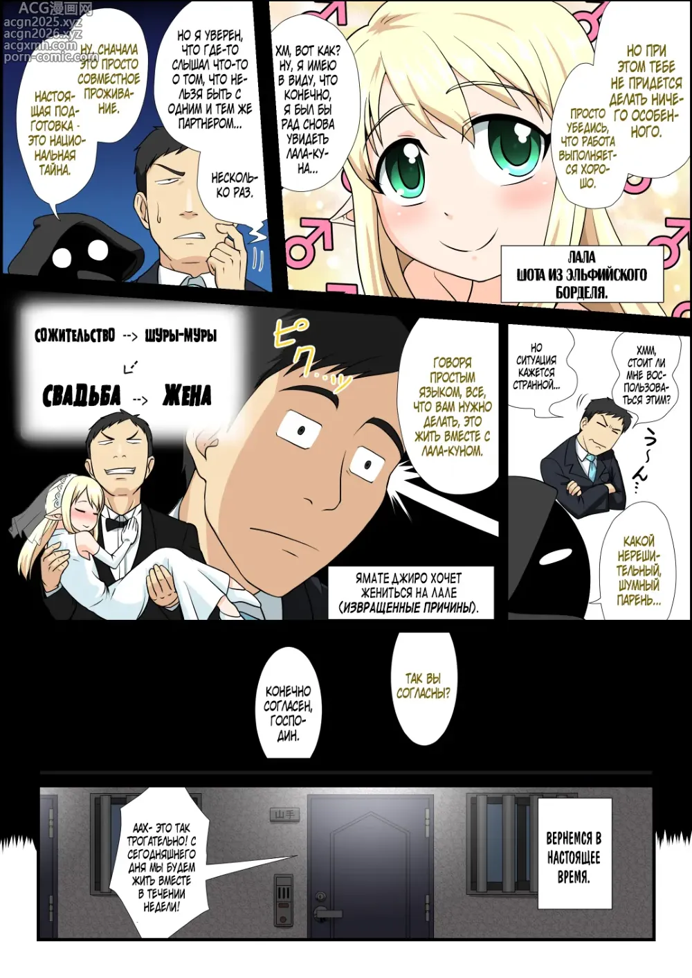 Page 4 of doujinshi Moshimo Otokonoko Elf ga Wagaya ni Kitara