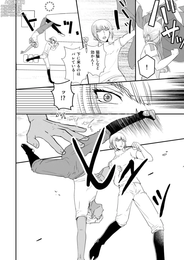 Page 15 of doujinshi Hiyoku no Tori, Renri no Kizuna