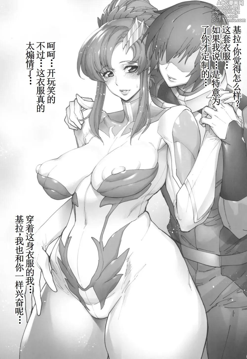 Page 3 of doujinshi E.E.E.E. (ガンダムSEED FREEDOM) 【古月个人汉化】