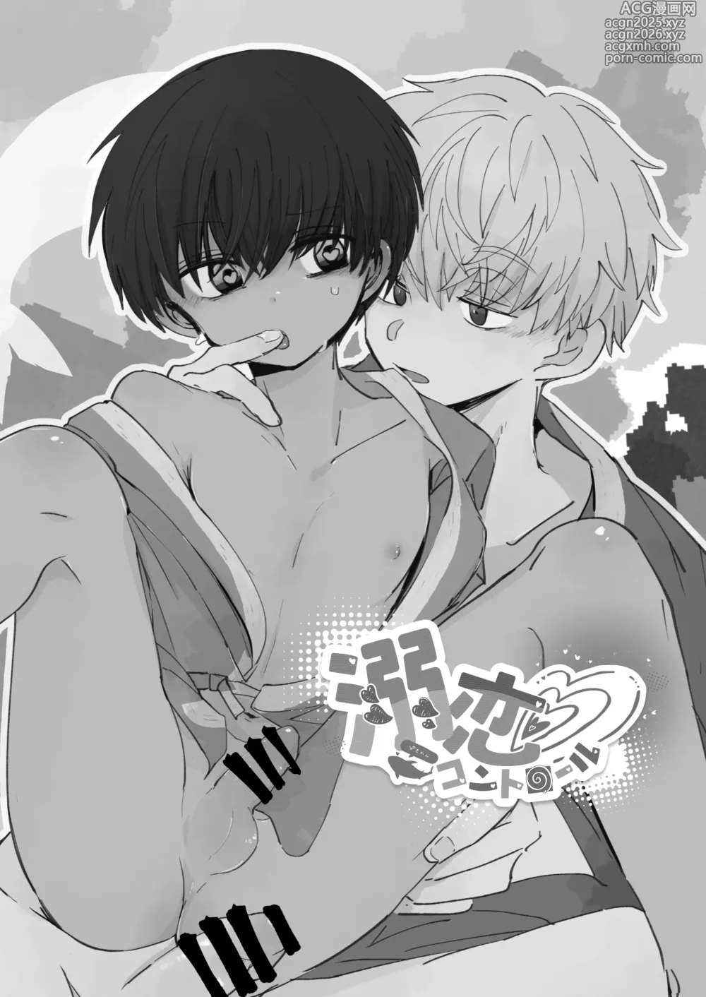 Page 3 of doujinshi Ni Koi Kontorouru