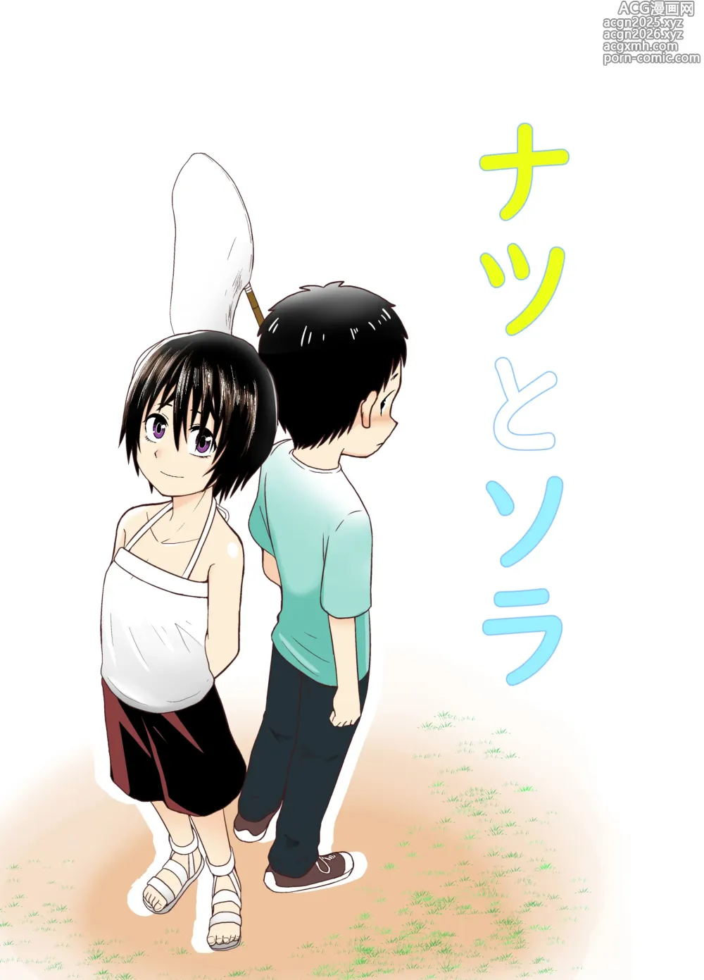 Page 1 of doujinshi Natsu to Sora ~Boku ga Seitsuu Suru made no Tomodachi~