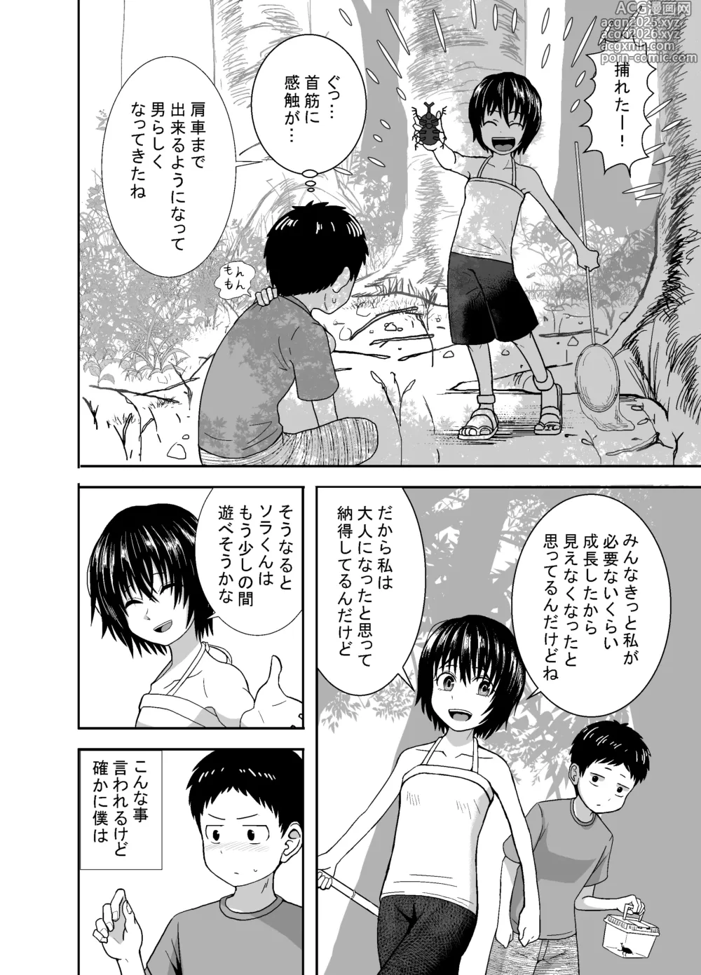 Page 11 of doujinshi Natsu to Sora ~Boku ga Seitsuu Suru made no Tomodachi~