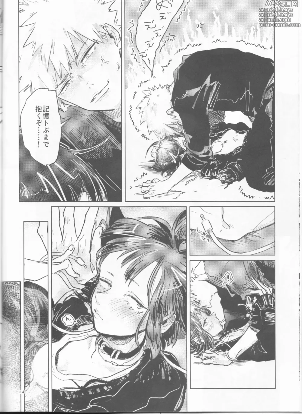 Page 14 of doujinshi Yoidore Kega Naku Haji mo Naku