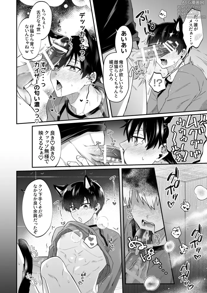 Page 11 of doujinshi Virgin Cat