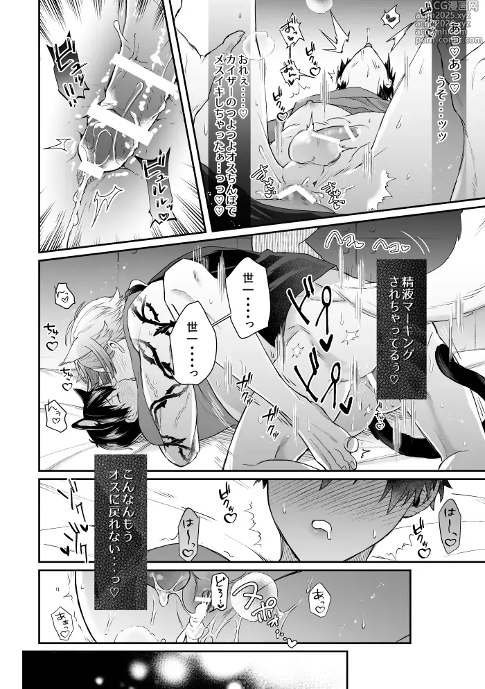 Page 15 of doujinshi Virgin Cat