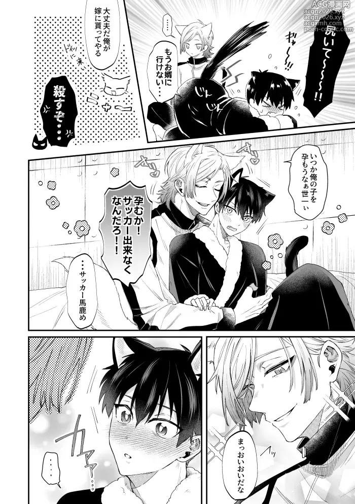 Page 17 of doujinshi Virgin Cat