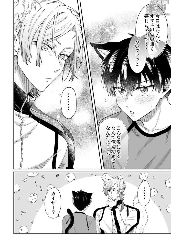 Page 5 of doujinshi Virgin Cat