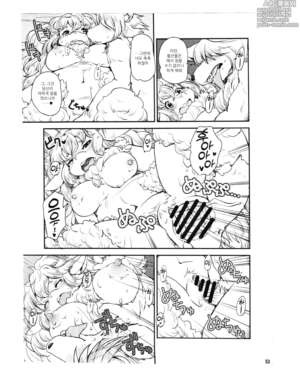 Page 3 of doujinshi 복슬복슬 양부인