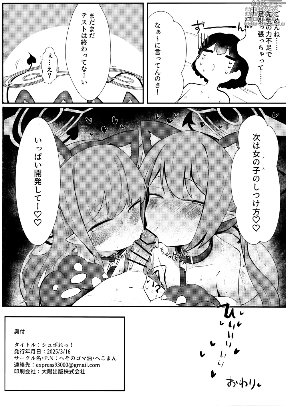Page 17 of doujinshi Shupore!