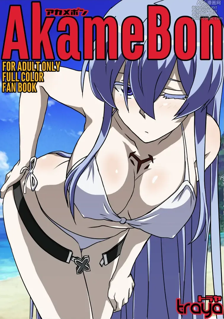 Page 2 of doujinshi AkameBon