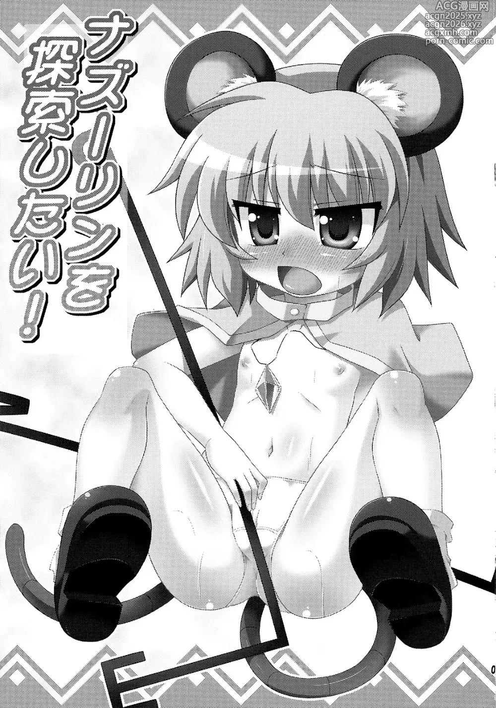 Page 3 of doujinshi 来探索纳兹琳吧！ (东方Project)【守矢十字陵汉化】