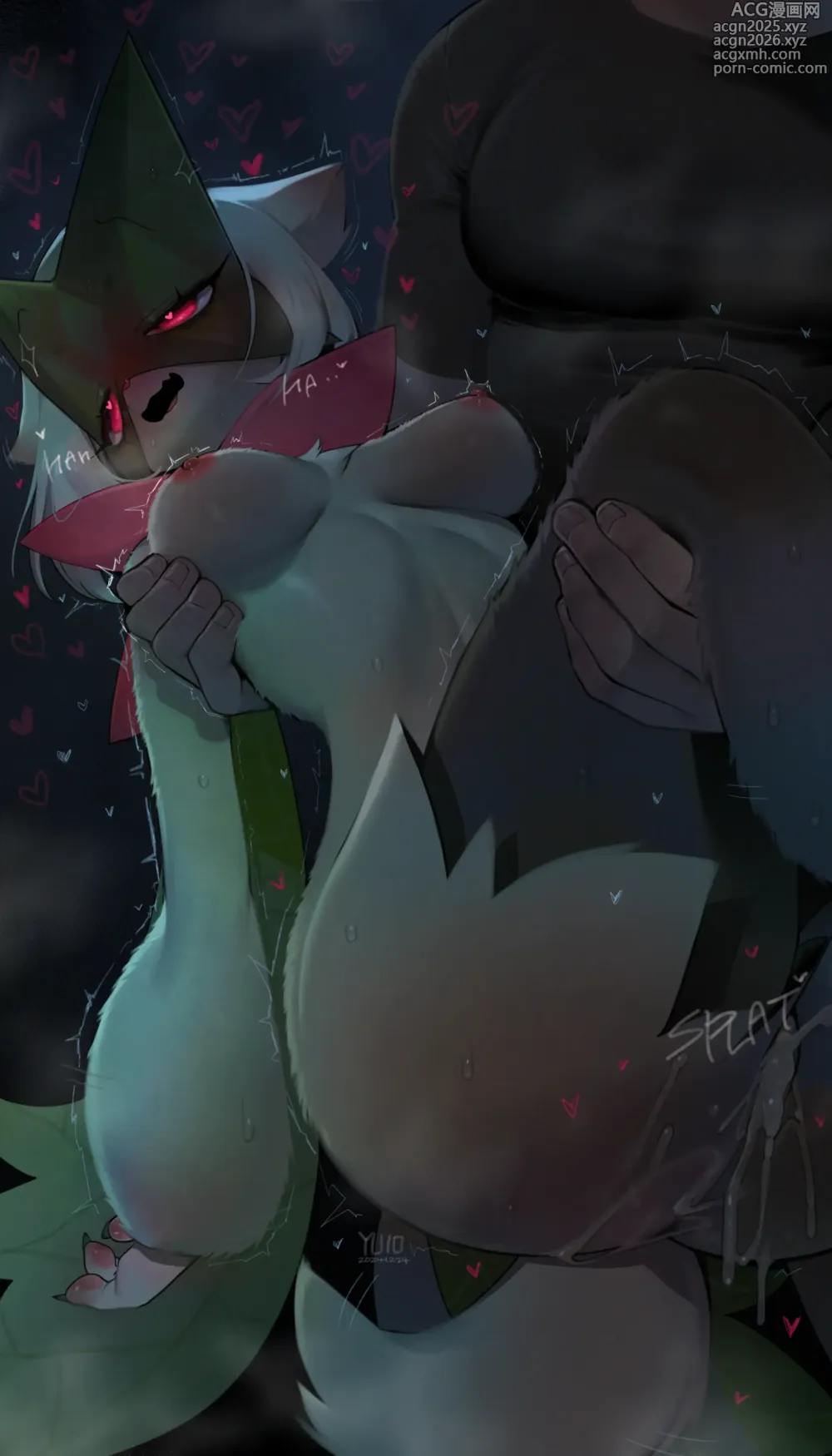 Page 88 of imageset YUIO58ok