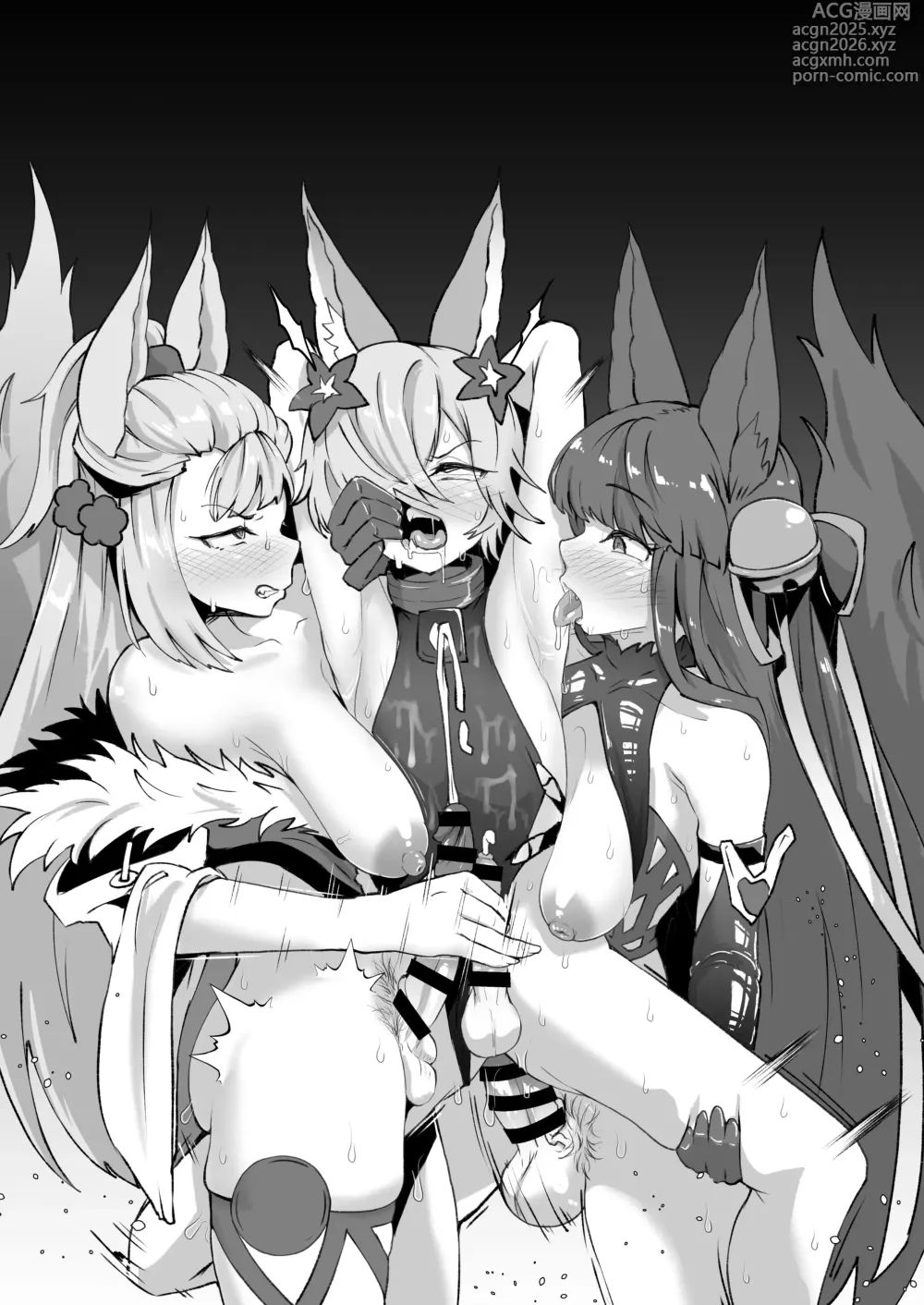 Page 13 of doujinshi ふたなりエルーンのサプライズ逆アナル
