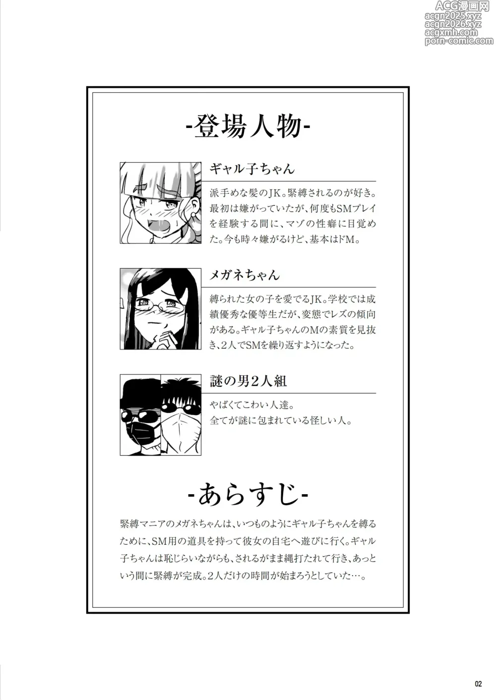 Page 3 of doujinshi 緊縛の本B