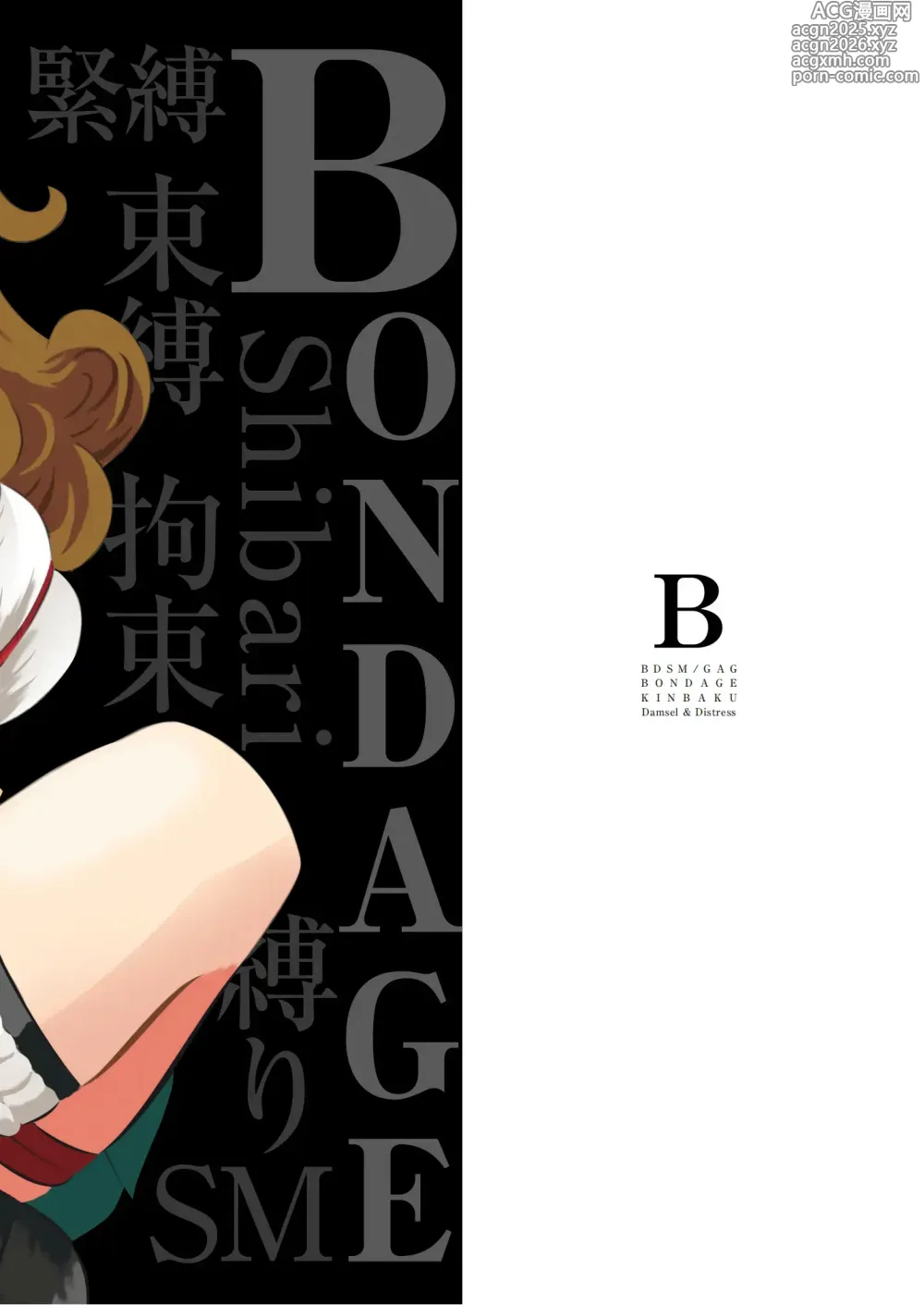 Page 22 of doujinshi 緊縛の本B