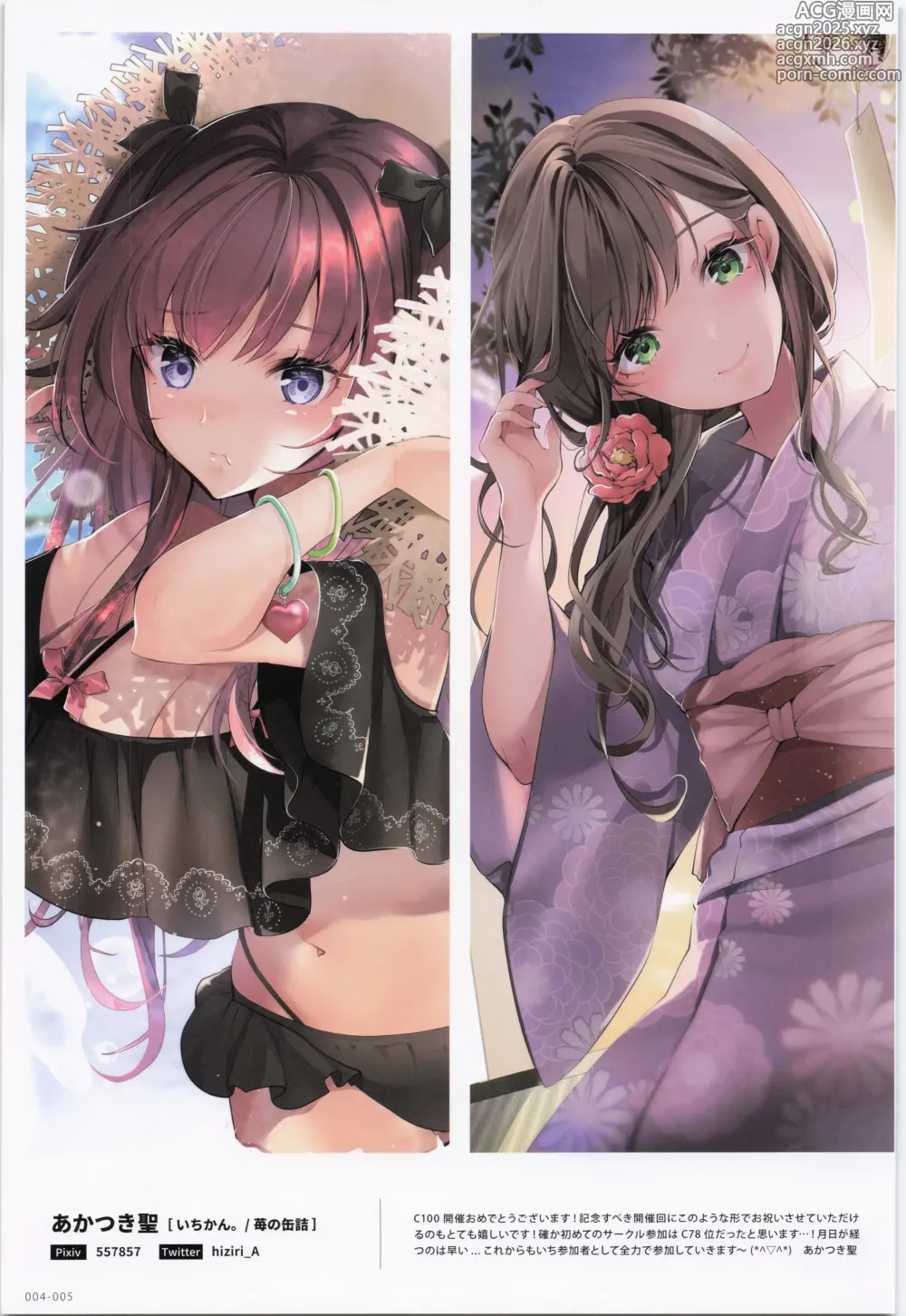 Page 5 of doujinshi ComicMarket100 ExclusiveGift Limited Edition ELEGANT