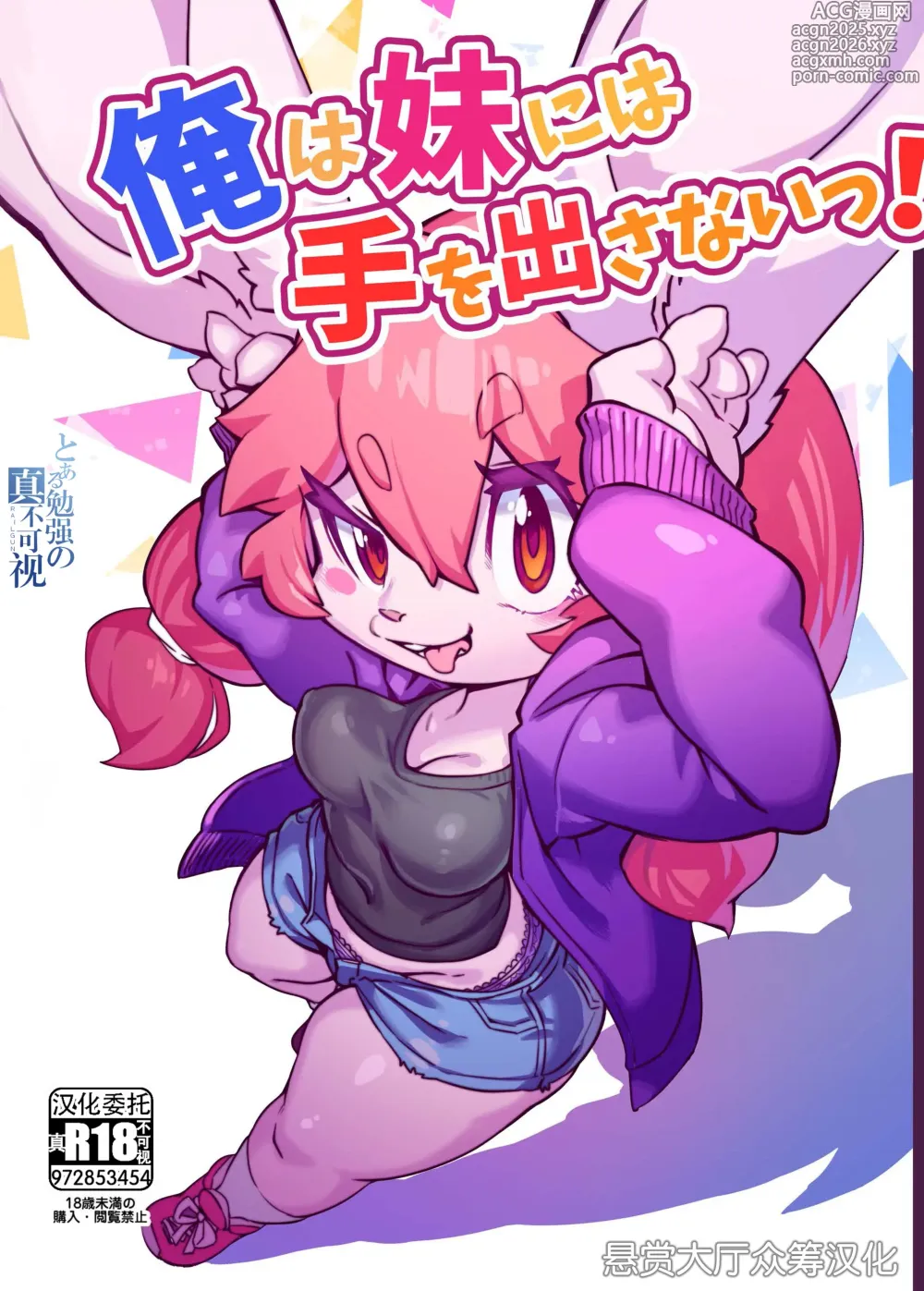 Page 1 of doujinshi 俺は妹には手を出さないっ！