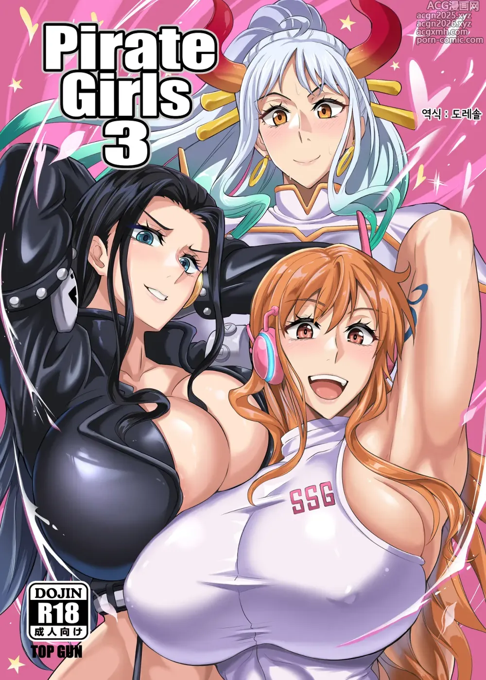 Page 1 of doujinshi Pirate Girls 3