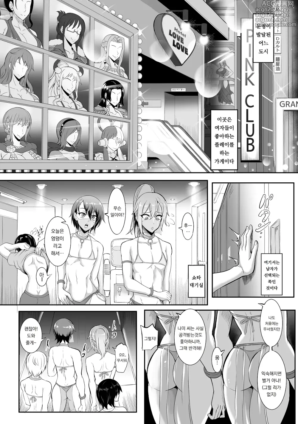 Page 3 of doujinshi Pirate Girls 3
