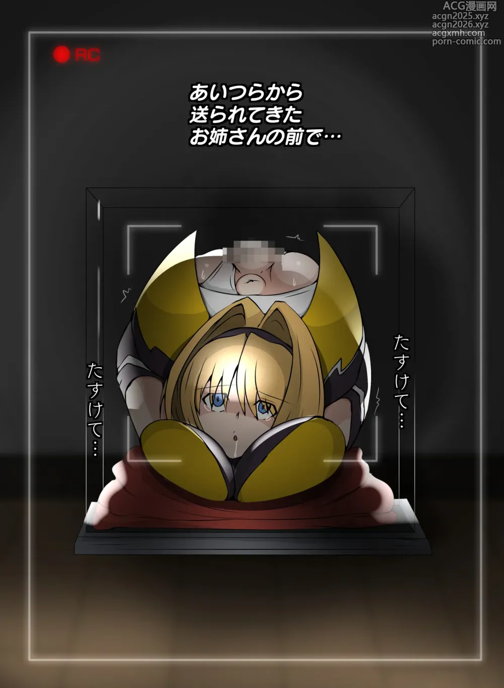 Page 14 of doujinshi 箱化処理される超昂閃忍ハルカ