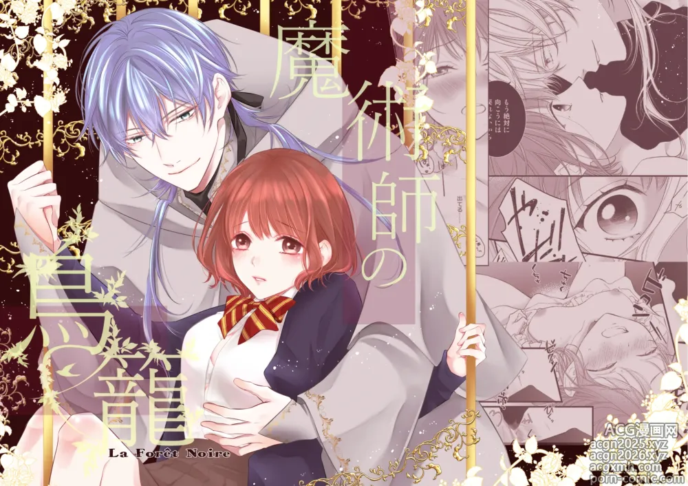 Page 1 of doujinshi 魔術師的鳥籠