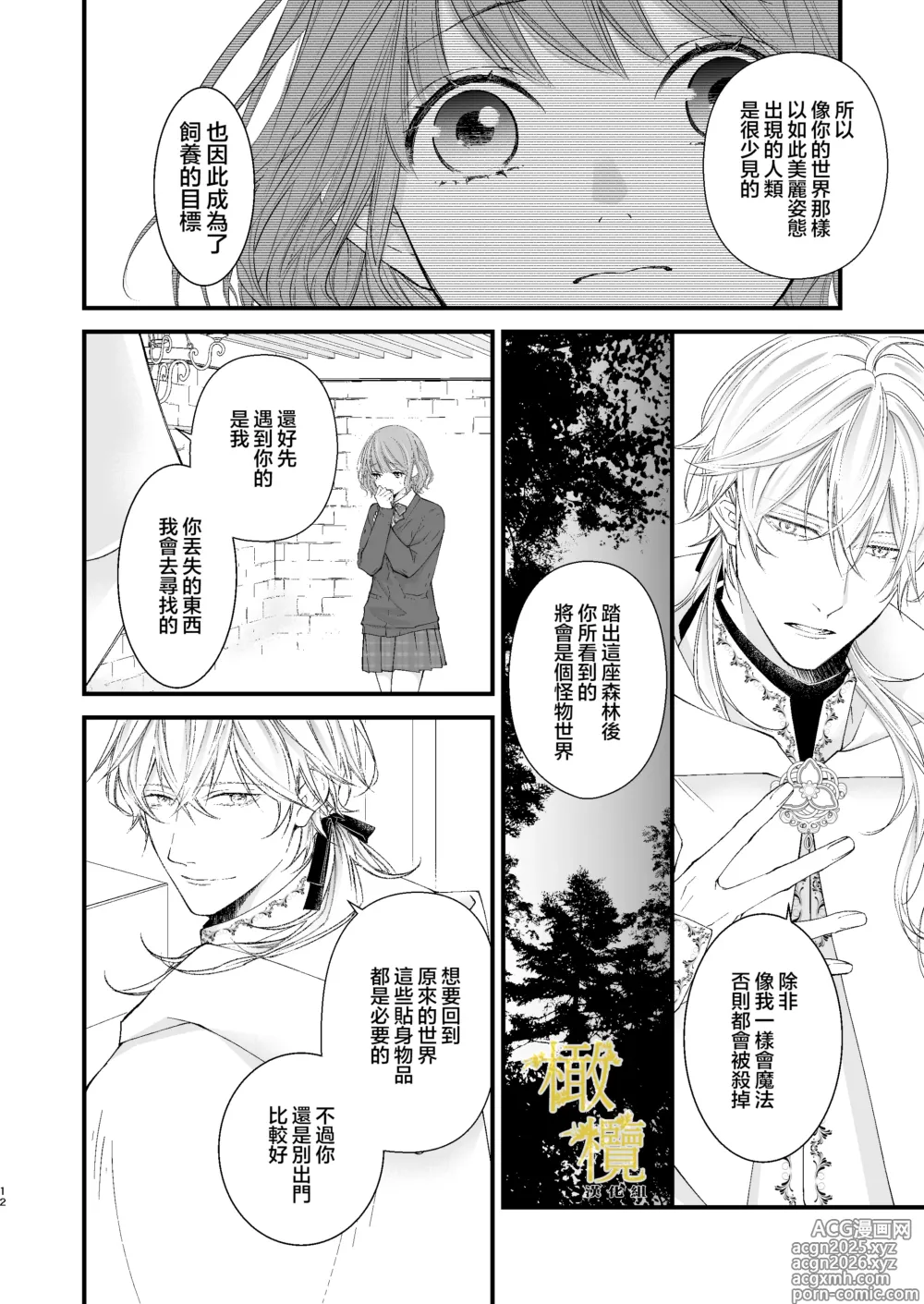 Page 12 of doujinshi 魔術師的鳥籠