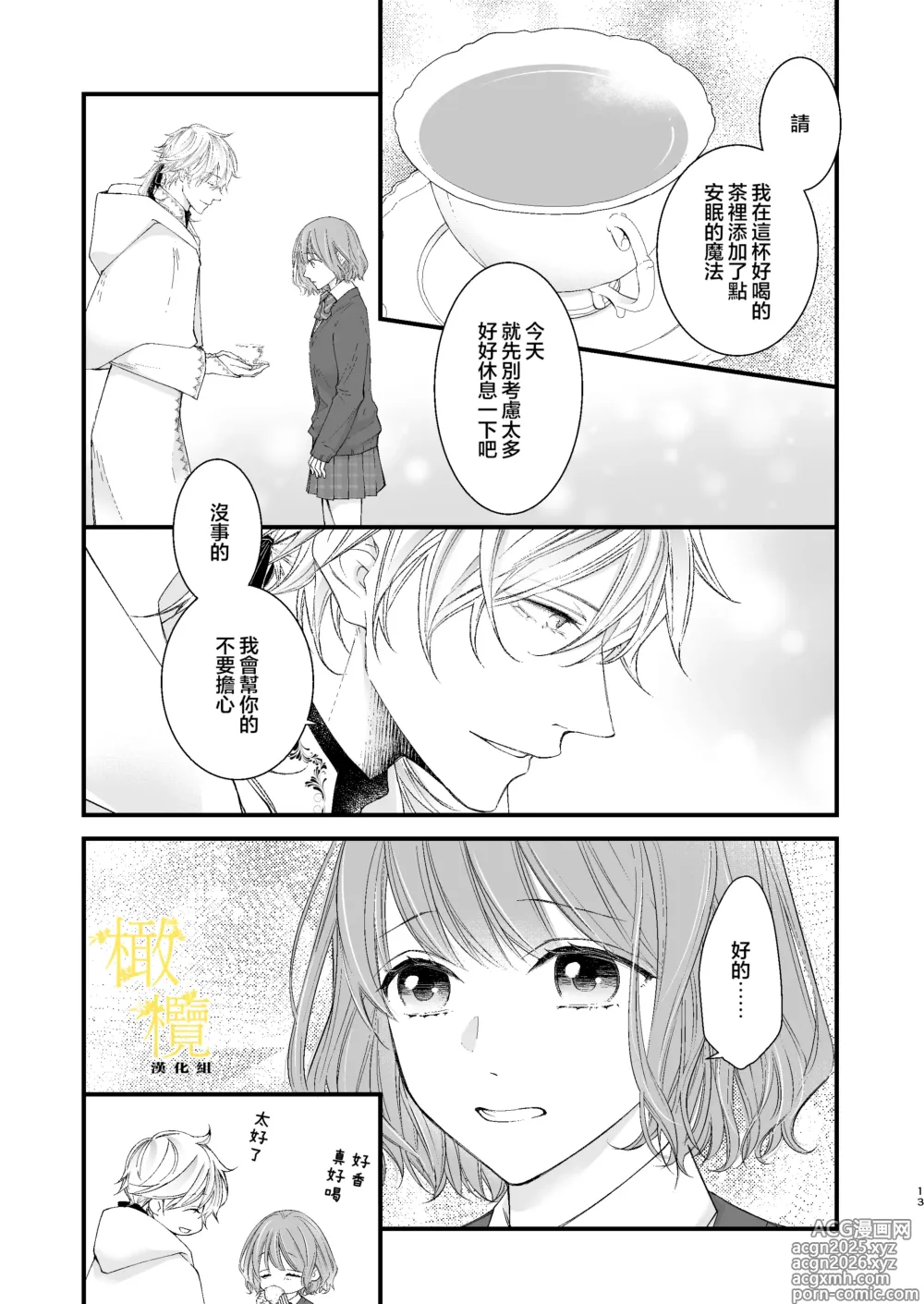 Page 13 of doujinshi 魔術師的鳥籠