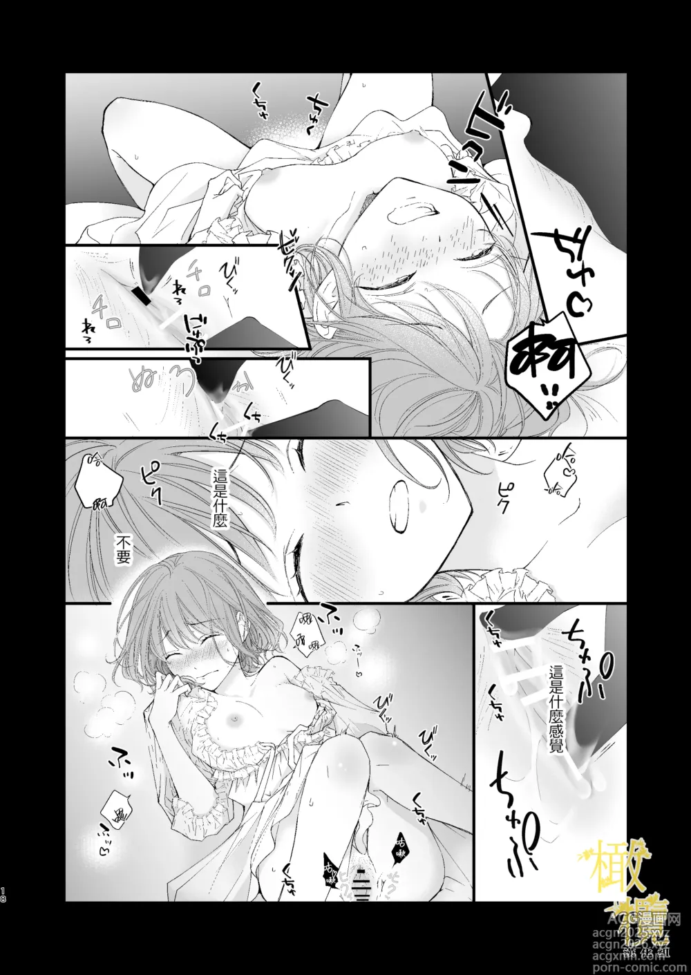 Page 18 of doujinshi 魔術師的鳥籠