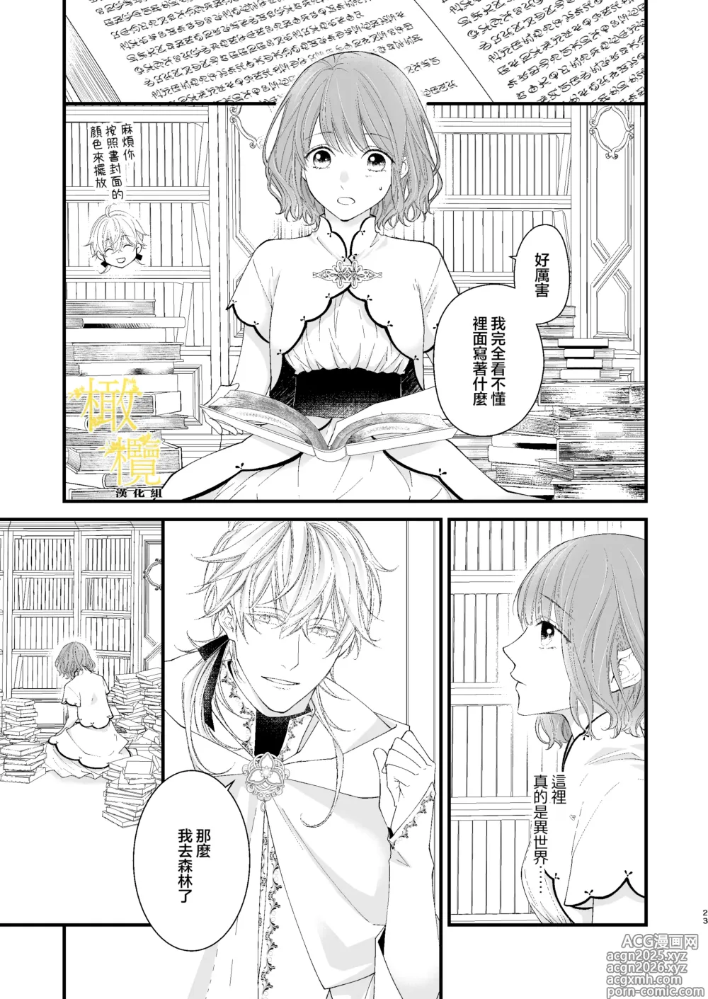 Page 23 of doujinshi 魔術師的鳥籠