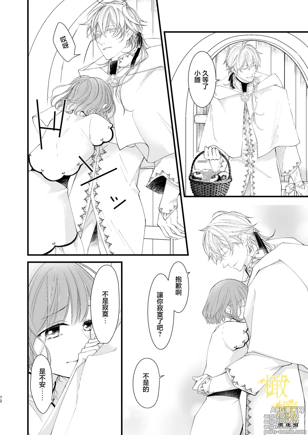 Page 72 of doujinshi 魔術師的鳥籠
