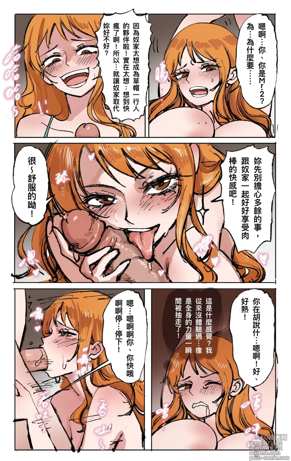 Page 5 of doujinshi 航海王：變身覺醒 前傳